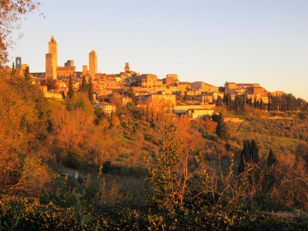 Agriturismo Il Colto San Gimignano Eksteriør bilde