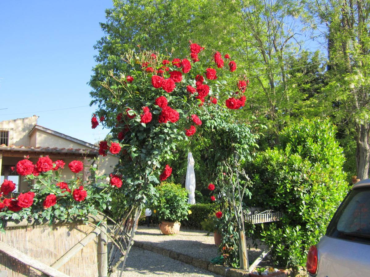 Agriturismo Il Colto San Gimignano Eksteriør bilde