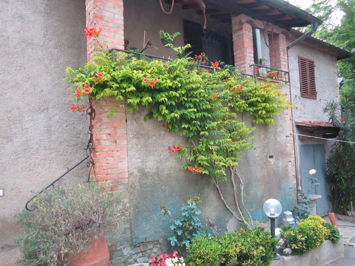 Agriturismo Il Colto San Gimignano Eksteriør bilde